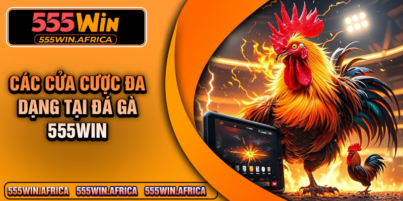 Các cửa cược đa dạng tại đá gà 555Win