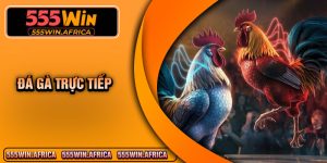 Da Ga Truc Tiep