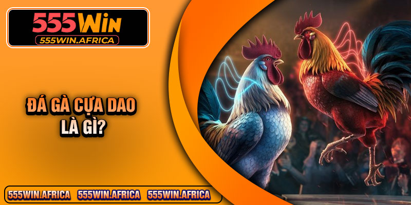 Đá gà cựa dao là gì?