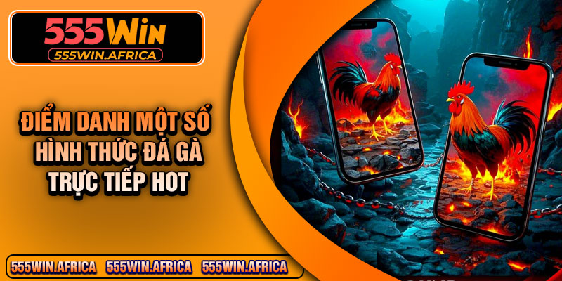 Điểm Danh Một Số Hình thức Đá Gà Trực Tiếp Hot