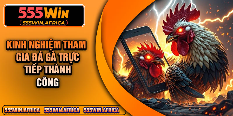 Kinh Nghiệm Tham Gia Đá Gà Trực Tiếp Thành Công
