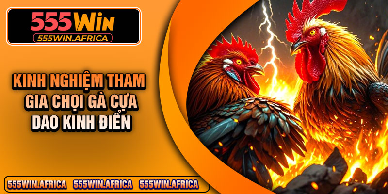 Kinh nghiệm tham gia chọi gà cựa dao kinh điển