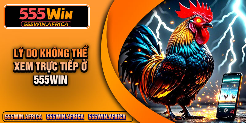 Lý Do Không Thể Xem Trực Tiếp Ở 555Win