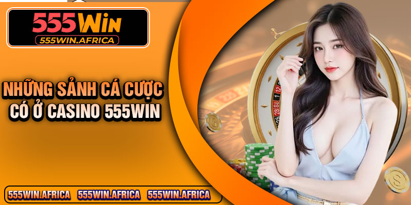 Những sảnh cá cược có ở Casino 555Win