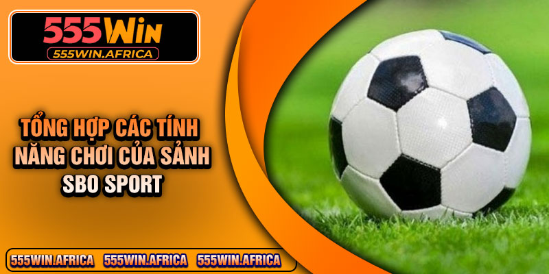 Tổng hợp các tính năng chơi của sảnh SBO Sport
